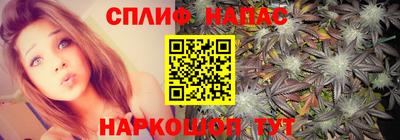 прущие грибы Коммунар