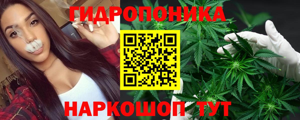 Каннабис гибрид  Вход с VPN  Кувандык  МАРИХУАНА сатива  МАРИХУАНА VHQ 